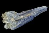 Vibrant Blue Kyanite Crystals In Quartz - Brazil #118861-1